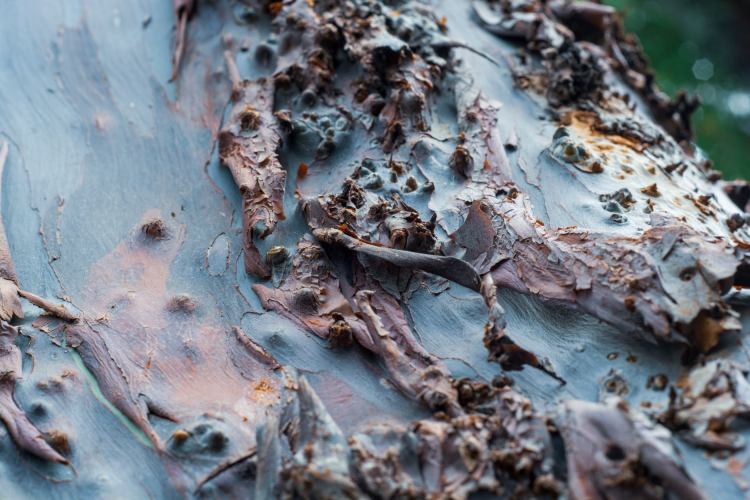 Mémoires du temps, Yaoundé, 2021, Steve Simeu