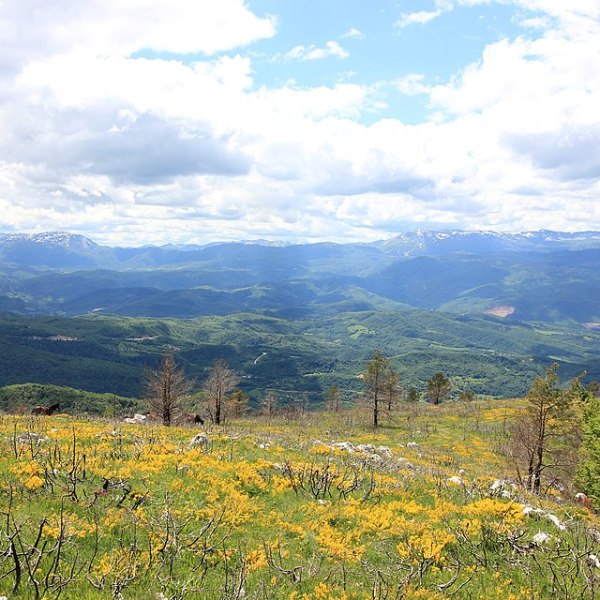 RAPPELLE MOI LE GENOCIDE : L’EX-YOUGOSLAVIE 1.Présentation